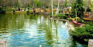 بهترین موسسه مهاجرتی در کرج